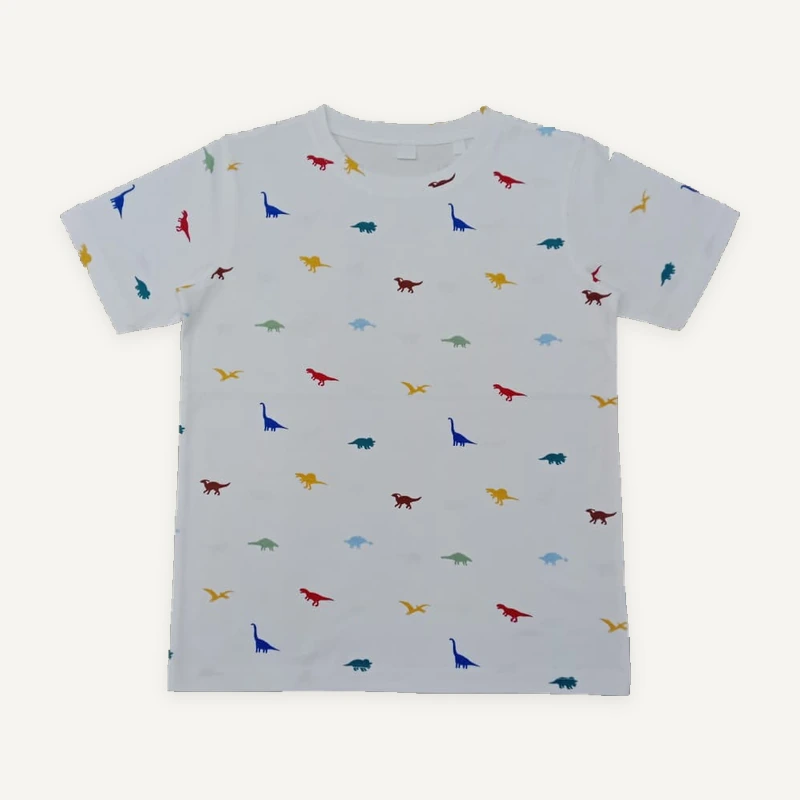 Kidswear — white dinosaur print T-shirt, front view